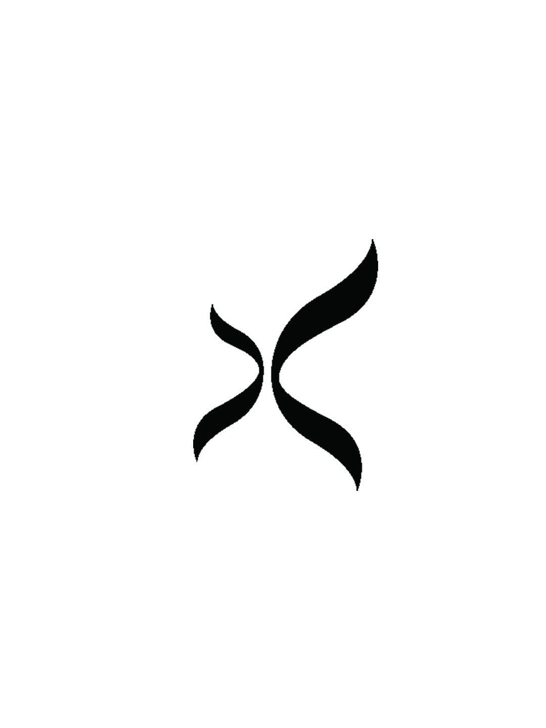 Capezio Children's Turtle Neck Long Sleeve Crop Top